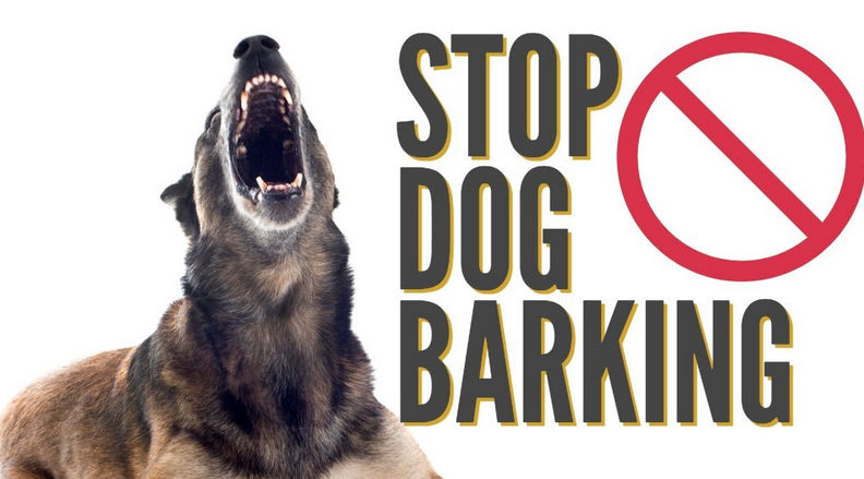 How to Stop Dog Barking For Good