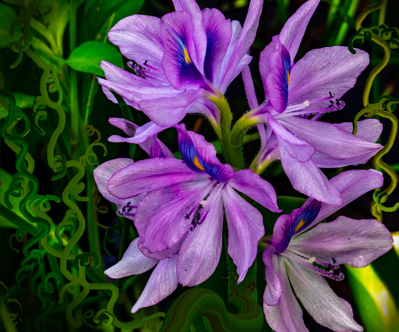 How to Plant and Divide Iris Rhizomes | lifeisshortafilm